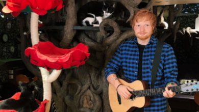 Ed Sheeran waxwork touring London