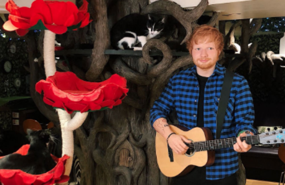 Ed Sheeran waxwork touring London