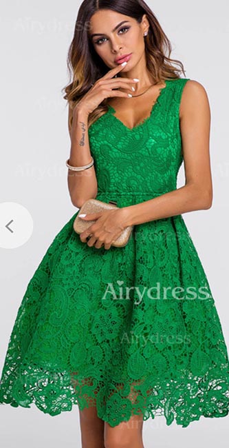 Floral Lace Skater V-Neckline A-Line Dress (Airydress)