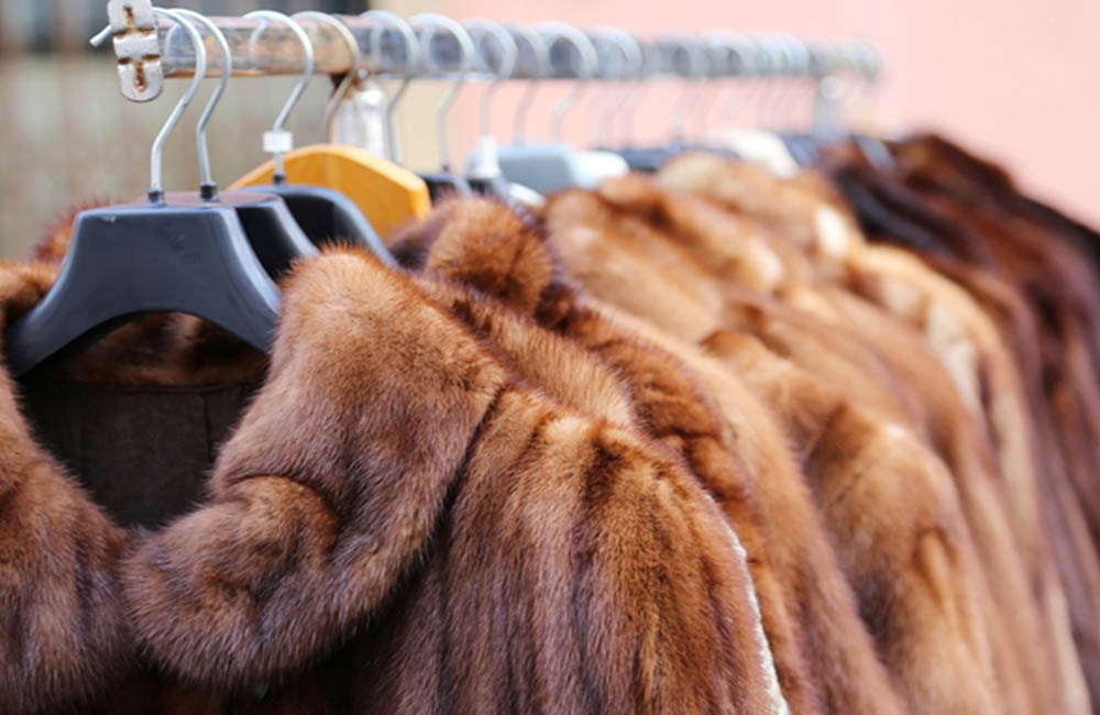 The selling of all fur products could be banned