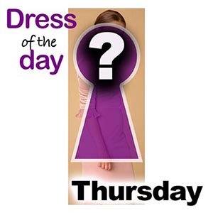 Light Rose Autumn velvet belted skirt dress from Heidi Higgins