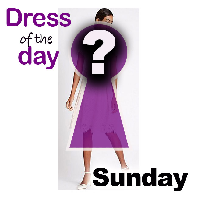 Cotton Blend Lace Swing Dress from M&S