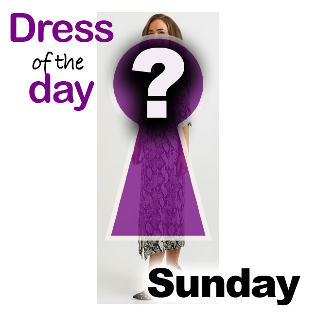 Review of Boutique Snake One Size Shirt Dress