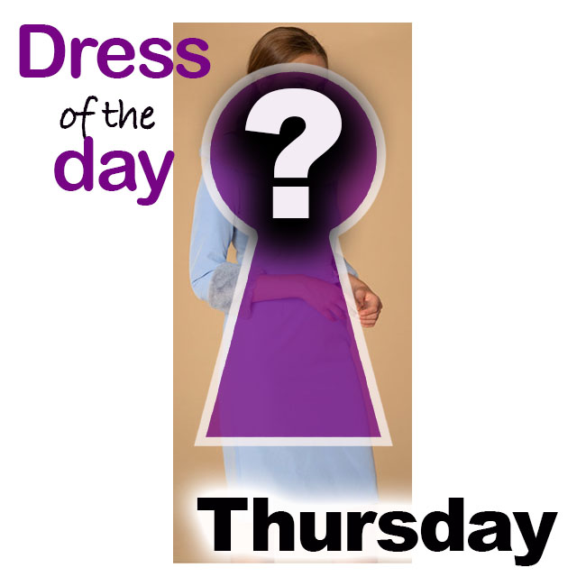 Fashion review of this Lux Sheath Dress by Heidi Higgins