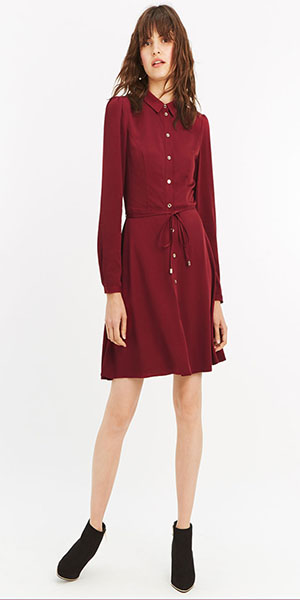 Burgundy Skater Dress From Oasis