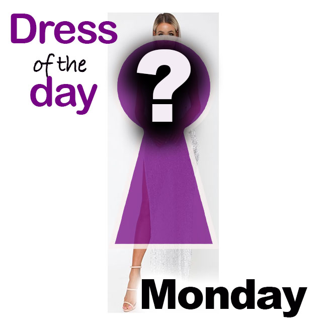 Fashion review Belinda Sequin Long Gown from Cari’s Closet