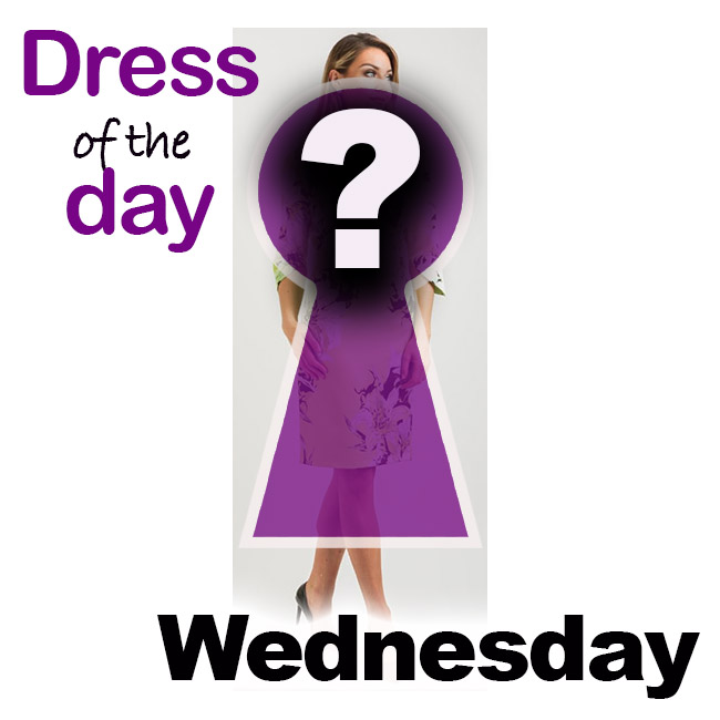 Fashion review Floral Pencil Dress from McElhinneys