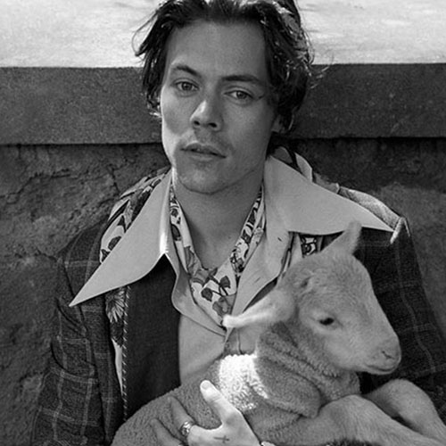 Harry Style in Gucci’s Cruise 2019 collection (Photo courtesy of Gucci)