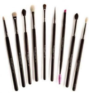 Blank Canvas Cosmetics Eye Perfection 9 Piece Brush Set