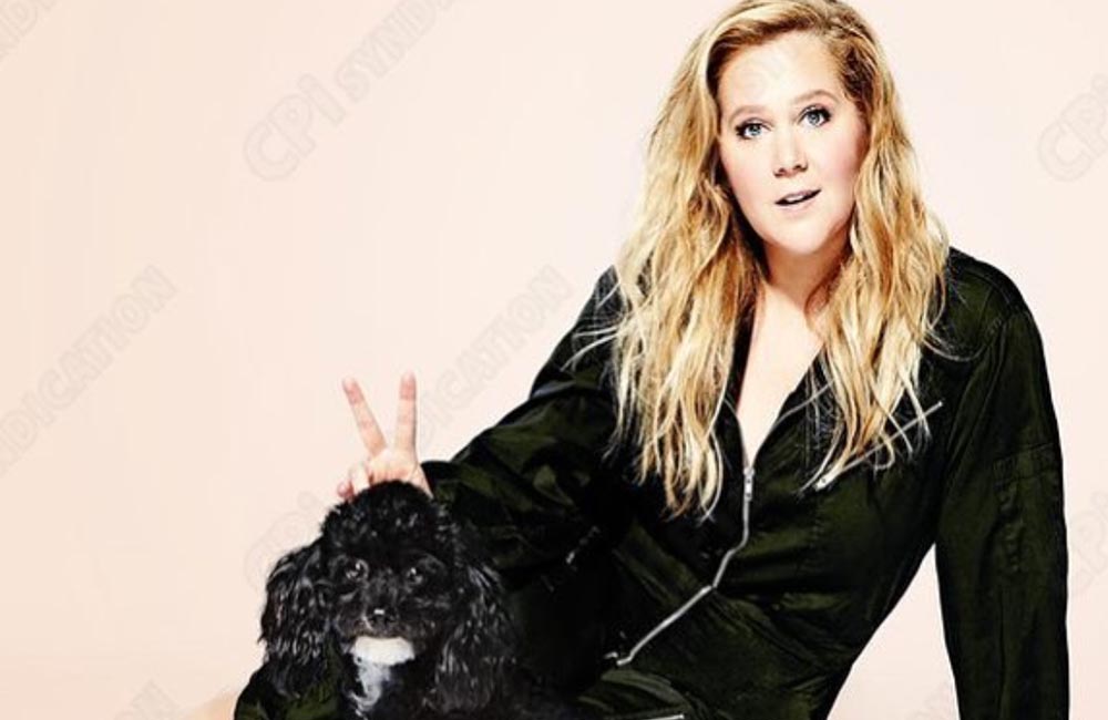 Amy Schumer makes a return to stage after sickness