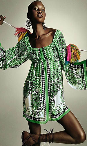 Fashion model Alek Wek