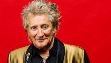 Rod Stewart wants his own biopic