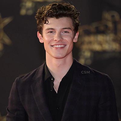 Shawn Mendes (Instagram photo)